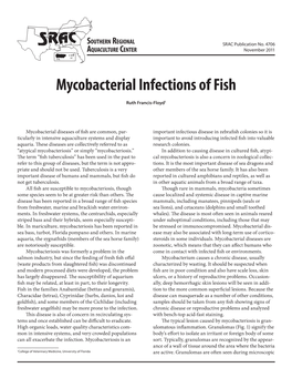 Mycobacterial Infections of Fish