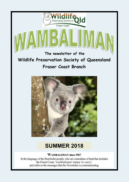 Wambaliman SUMMER 2018