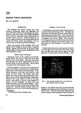 Mariculture Potential of Andaman and Nicobar Islands —An Indicative Survey