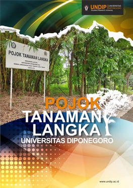 Pojok Tanaman Langka Universitas Diponegoro