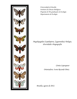 Megalopygidae (Lepidoptera, Zygaenoidea): Biologia, Diversidade E Biogeografia