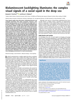 Bioluminescent Backlighting Illuminates the Complex Visual Signals of a Social Squid in the Deep Sea