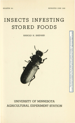 Insects Infesting Stored Foods