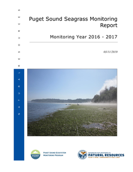 Puget Sound Seagrass Monitoring Report