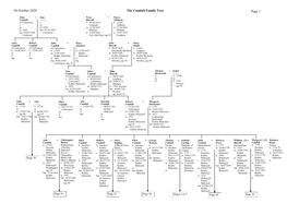 Page 1 04 October 2020 the Cundall Family Tree