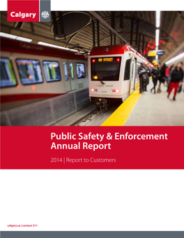 Public Safety & Enforcement Annual Report