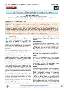 Phyto-Pharmacology of Cichorium Intybus As Hepatoprotective Agent