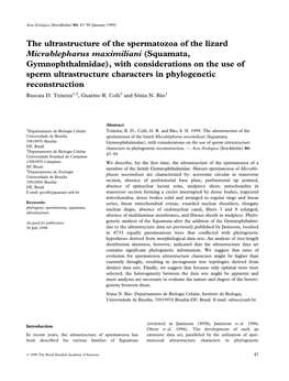 The Ultrastructure of the Spermatozoa of the Lizard Micrablepharus