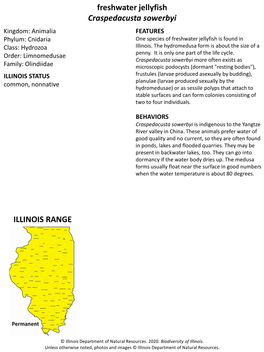 Freshwater Jellyfish Craspedacusta Sowerbyi Kingdom: Animalia FEATURES Phylum: Cnidaria One Species of Freshwater Jellyfish Is Found in Class: Hydrozoa Illinois