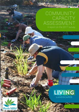 COMMUNITY CAPACITY ASSESSMENT a Report on the 2017 Survey