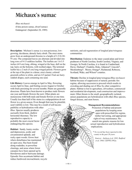 Michaux's Sumac