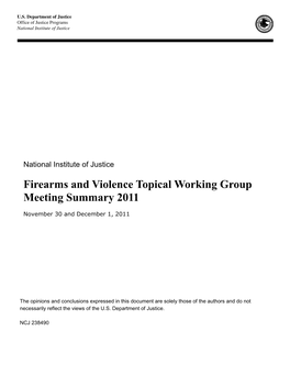 Firearms and Violence Topical Working Group Meeting Summary 2011