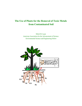 The Use of Plants for the Removal of Toxic Metals from Contaminated Soil