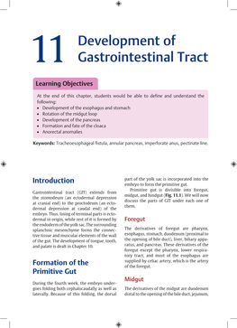 Development of Gastrointestinal Tract