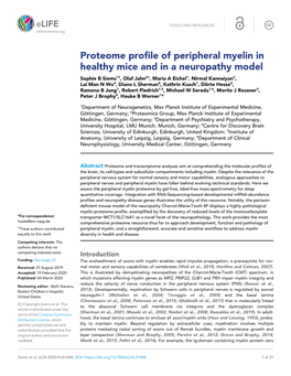 Proteome Profile of Peripheral Myelin in Healthy Mice and in a Neuropathy