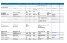 PROMTORAS INSCRITAS AL FSV ACTIVAS.Xlsx