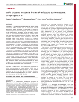 WIPI Proteins: Essential Ptdins3p Effectors at the Nascent