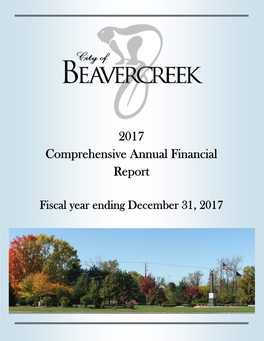 2017 Comprehensive Annual Financial Report