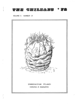 Volume 5 Number 21 Gymnocalycium Pflanzii