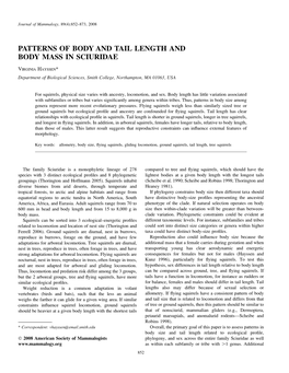 Patterns of Body and Tail Length and Body Mass in Sciuridae