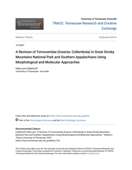 A Revision of Tomoceridae (Insecta: Collembola) in Great Smoky Mountains National Park and Southern Appalachians Using Morphological and Molecular Approaches