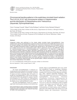 The X1X1X2X2:X1X2Y Sex Chromosome System in Calyptommatus and the Karyotypes of Psilophthalmus and Tretioscincus (Squamata, Gymnophthalmidae)