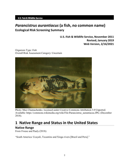 Parancistrus Aurantiacus (A Fish, No Common Name) Ecological Risk Screening Summary