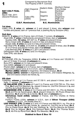 Consigned by Baunemore Stud the Property of Mr P. Connolly Sadler's