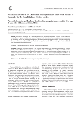 Hirudinea: Glossiphoniidae), a New Leech Parasite of Freshwater Turtles from Estado De México, Mexico