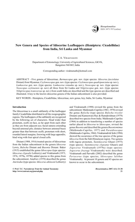 New Genera and Species of Idiocerine Leafhoppers (Hemiptera: Cicadellidae) from India, Sri Lanka and Myanmar