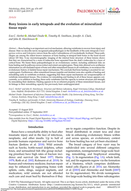 Bony Lesions in Early Tetrapods and the Evolution of Mineralized Tissue Repair