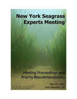 New York Seagrass Experts Meeting