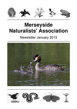 MNA Newsletter 2014.Pdf