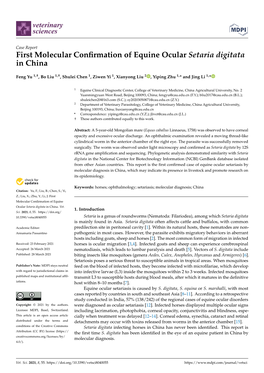 First Molecular Confirmation of Equine Ocular Setaria Digitata in China