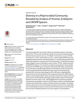 Diversity in a Polymicrobial Community Revealed by Analysis of Viromes, Endolysins and CRISPR Spacers