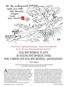 Dual-Mycorrhizal Plants Or Dueling Mycorrhizal Fungi: How Common Are Dual-Mycorrhizal Associations ? Britt A