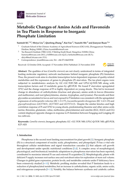 Metabolic Changes of Amino Acids and Flavonoids in Tea Plants in Response to Inorganic Phosphate Limitation