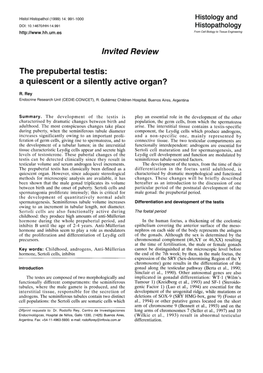 Invited Review the Prepubertal Testis: a Quiescent Or a Silently Active Organ?