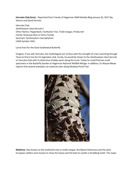 Hercules Club (Tree) – Reprinted from Friends of Hagerman NWR Weekly Blog January 26, 2017 (By Sharon and David Parrish)