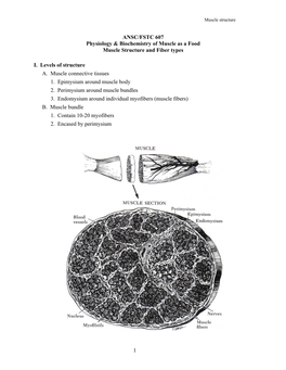 6. Muscle Structure & Fiber Types