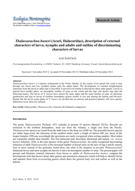 Thalassarachna Basteri (Acari, Halacaridae), Description of External Characters of Larva, Nymphs and Adults and Outline of Discriminating Characters of Larvae