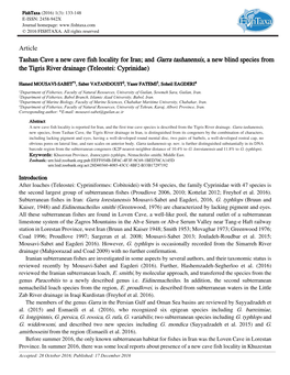 Article Tashan Cave a New Cave Fish Locality for Iran; and Garra Tashanensis, a New Blind Species from the Tigris River Drainage (Teleostei: Cyprinidae)