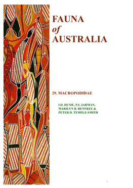 29. Macropodidae