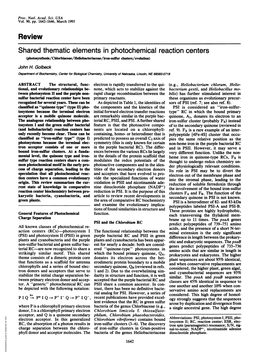 Review Shared Thematic Elements in Photochemical Reaction Centers (Photosynthesis/Chlorbiaceae/Heliobacteriaceae/Iron-Sulfur Clusters/Evolution) John H