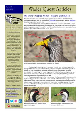 The World's Wattled Waders