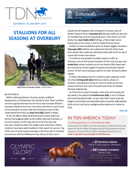 Stallions for All Seasons at Overbury Cont