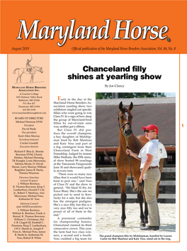 Chanceland Filly Shines at Yearling Show