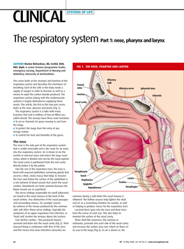 The Respiratory System Part 1: Nose, Pharynx and Larynx