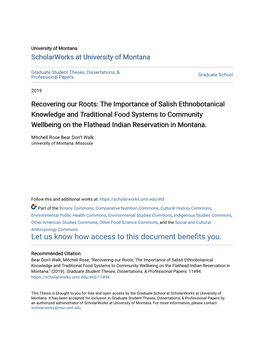 The Importance of Salish Ethnobotanical Knowledge and Traditional Food Systems to Community Wellbeing on the Flathead Indian Reservation in Montana