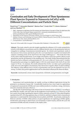 Germination and Early Development of Three Spontaneous Plant Species Exposed to Nanoceria (Nceo2) with Diﬀerent Concentrations and Particle Sizes